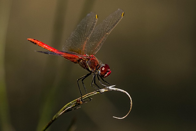 taller de arreglos florales en estudio botánico de Madrid con mesas y herramientas